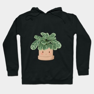 Cute Plant Illustration,  Calathea Burle-Marxii Amabilis 3 Hoodie